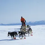 شقة Varangertunet Wilderness Jakobselv