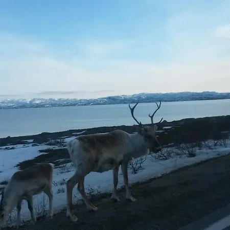 Varangertunet Arctic Jakobselv