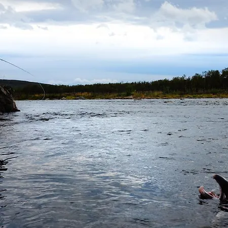 Varangertunet Wilderness resort Leilighet *