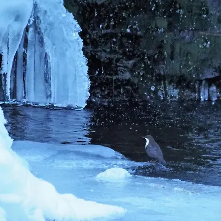 Varangertunet Wilderness Resort * Jakobselv