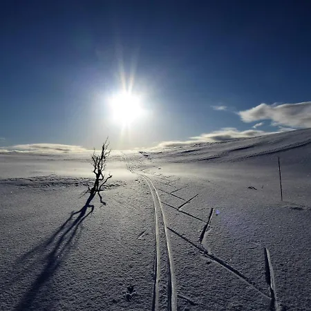 Leilighet Varangertunet Wilderness resort *