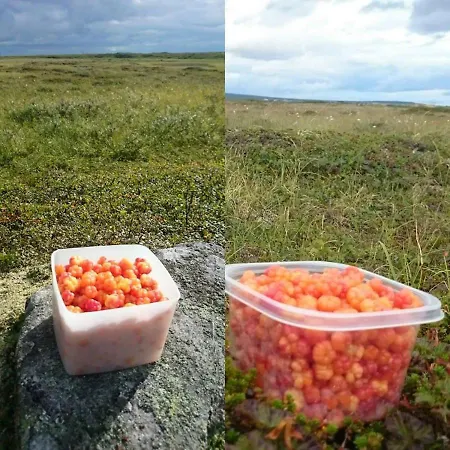 Varangertunet Wilderness resort *