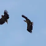 Varangertunet Wilderness Апартаменты Jakobselv