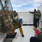 Апартаменты Varangertunet Wilderness *