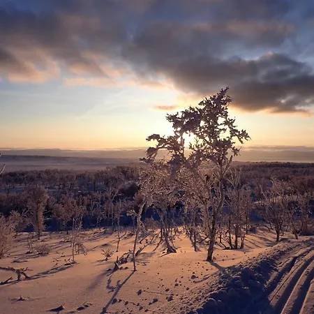 아파트 Varangertunet Wilderness *