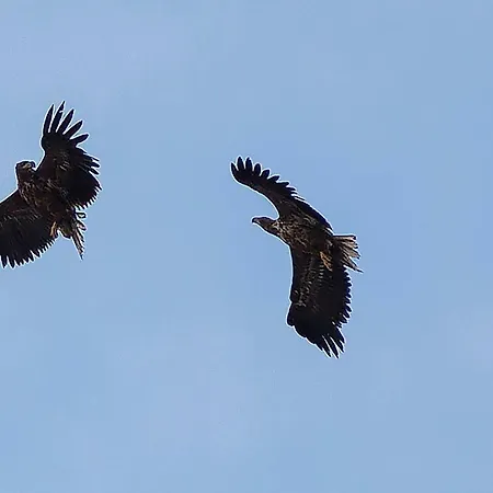 Varangertunet Wilderness 아파트 Jakobselv